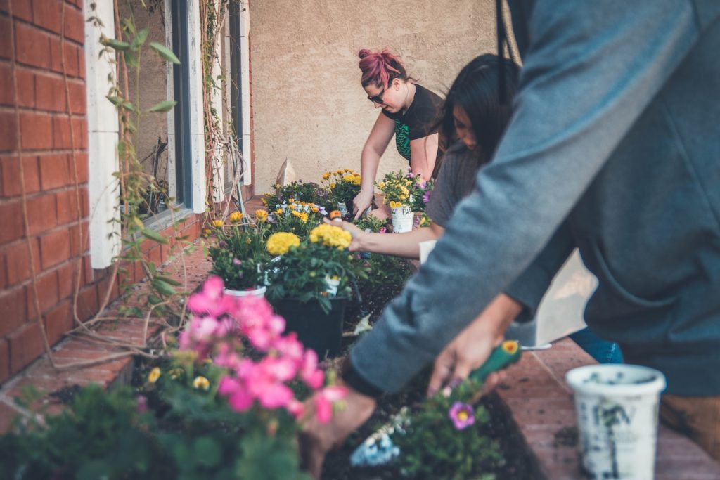 Tuinonderhoud in het najaar: dit zijn de tuinklusjes